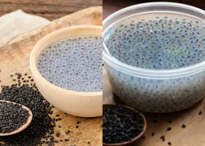 Wajib Tahu: Manfaat Biji Selasih Bagi Kesehatan Tubuh Antioksidan Alami