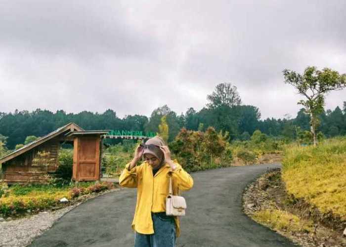 Bikin Takjub, Keindahan Bukit Tengtung Baturraden di Jawa Tengah Paling Populer!