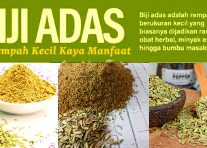 Biji Kecil dengan Khasiat Luar Biasa. Manfaat Biji Adas Bagi Kesehatan