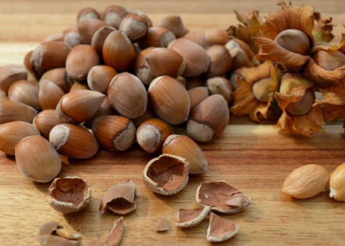 5 Manfaat Unik Dari Kacang Hazelnut, Salah Satunya Mengatasi Kolesterol!