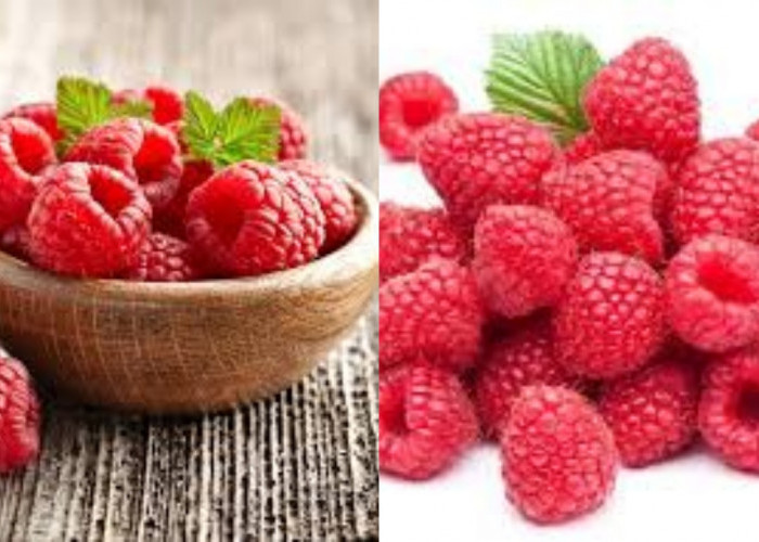Jarang Diketahui Inilah Manfaat Raspberry Untuk Kesehatan Tubuh!