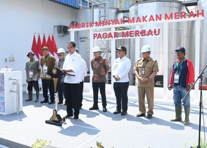 Jokowi Resmikan Pabrik Minyak Makan Merah Pertama di Indonesia, Mampu Produksi Sebesar 7 Ton Mintak Perhari