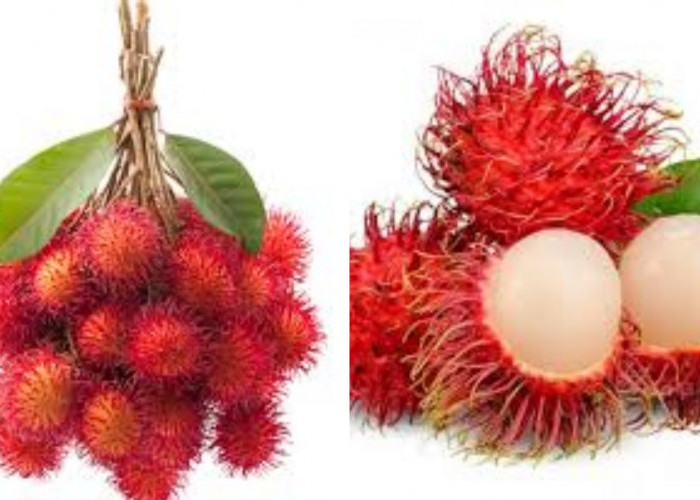 Menjaga Keseimbangan Cairan Tubuh Ini Guys Manfaat Rambutan Untuk Kesehatan!