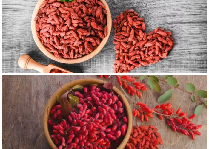 Manfaat Goji Berry untuk Tubuh: Khasiat Tersembunyi yang Wajib Diketahui!