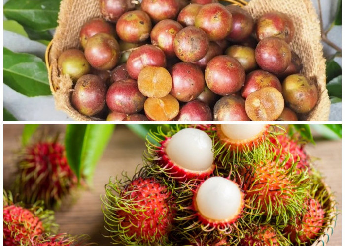 10 Buah Langka dari Indonesia yang Patut Dicicipi untuk Pengalaman Kuliner Unik