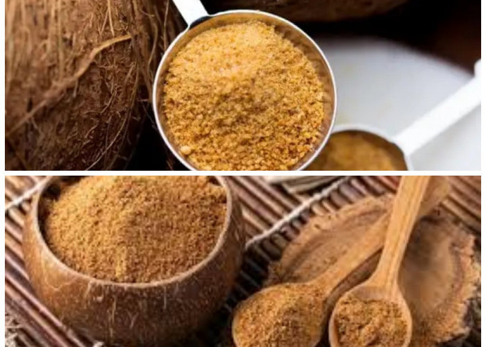 Kenali Gula Palem: Pemanis Alami yang Mendukung Kesehatan dan Aman untuk Penderita Diabetes