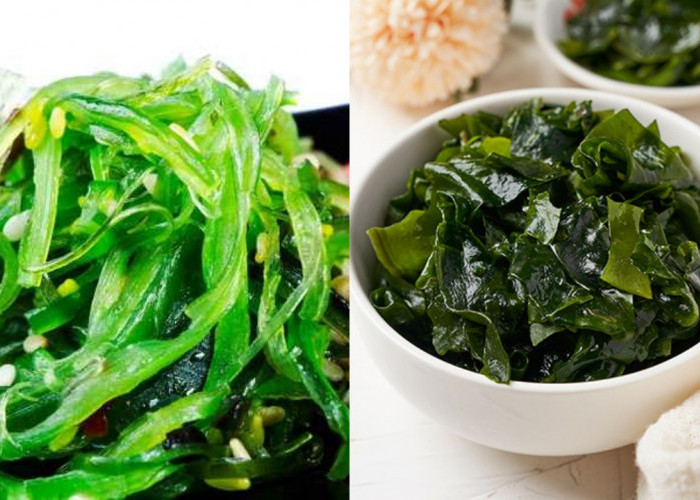 Kaya Gizi! Inilah Manfaat Rumput Laut dan Nutrisi Penting di Dalamnya