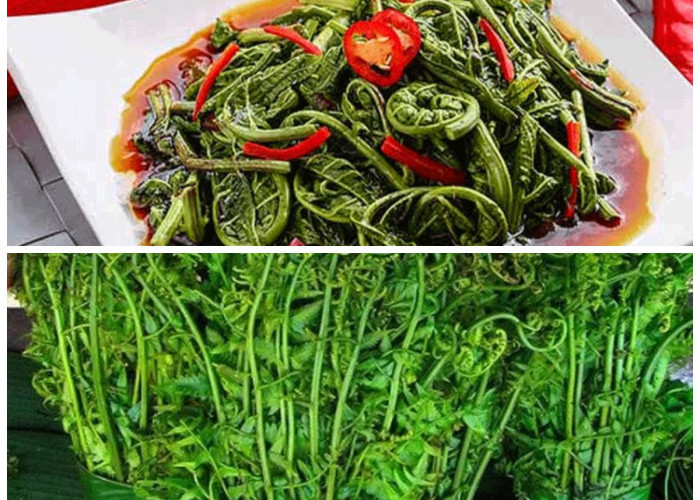 Tak Hanya Lezat, Ini Ragam Manfaat Daun Pakis bagi Kesehatan Tubuh