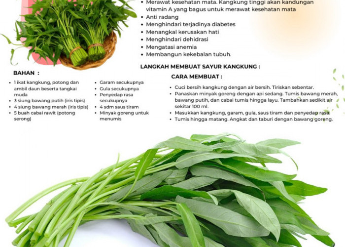 Sudah Tahu Manfaat Kangkung? Yuk, Temukan Keajaiban Kesehatannya!