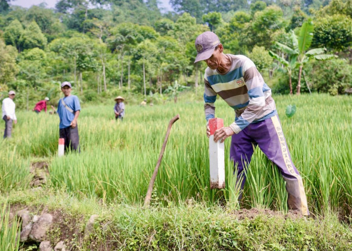 Pasang Patok, Cara Sederhana Cegah Sengketa Tanah dengan Tetangga!
