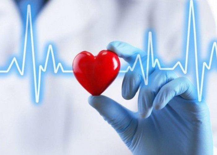 Jaga Jantungmu! Ini Dia 8 Tips Agar Jantung Tetap Sehat 