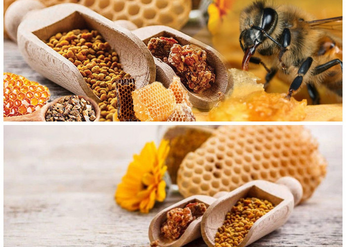 Manfaat Propolis bagi Kesehatan Tubuh: Rahasia Alami dari Lebah!