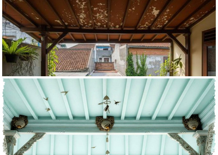 5 Warna Plafon Teras yang Dipercaya Bisa Mengurangi Sarang Tawon, Rumah Lebih Nyaman dan Aman