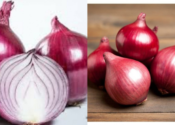 Inilah 8 Manfaat Bawang Merah untuk Kesehatan Tubuh Harus Tahu!