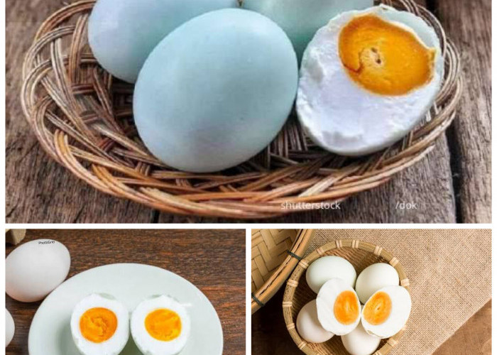 Manfaat Telur Bebek bagi Kesehatan Tubuh: Sumber Nutrisi Lengkap untuk Menjaga Stamina dan Vitalitas!