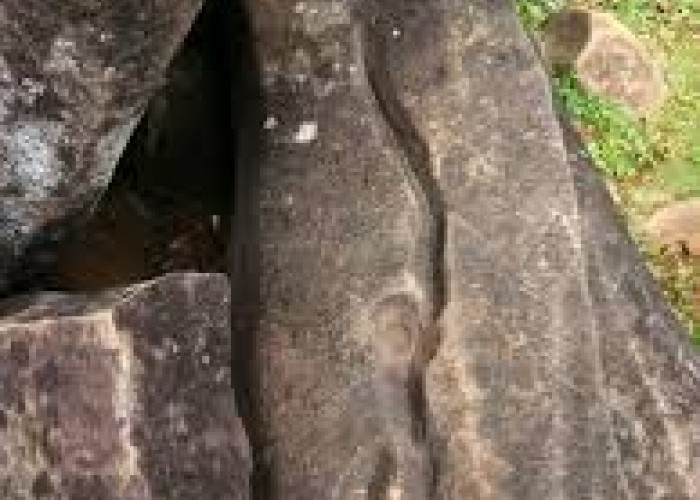 Jejak Kaki Harimau, Temuan di Batu Megalit Situs Gunung Padang, Asli atau Singkatan!