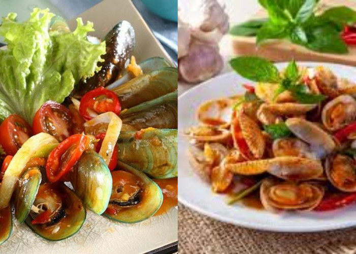 Yakin Ngga Mau Nyoba! Kerang Saus Padang Dengan Cita Rasa Yang Khas