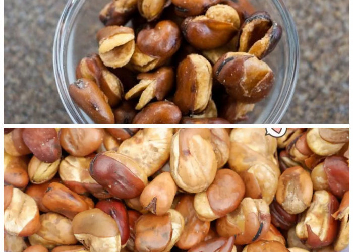 Manfaat Kacang Koro untuk Kesehatan: Sumber Nutrisi Tersembunyi yang Jarang Diketahui