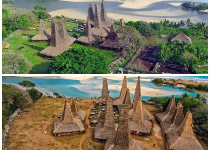 Desa Adat Ratenggaro: Warisan Arsitektur Unik dan Kisah Perang Suku di Tanah Sumba