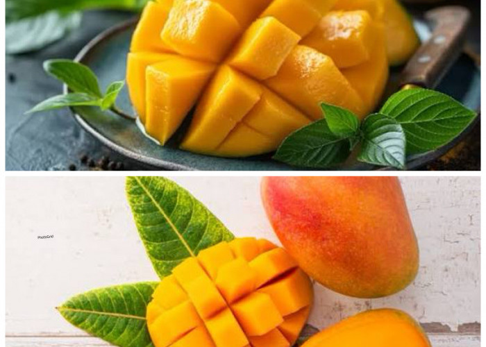 Inilah Manfaat Buah Mangga bagi Kesehatan Tubuh yang Wajib Diketahu!