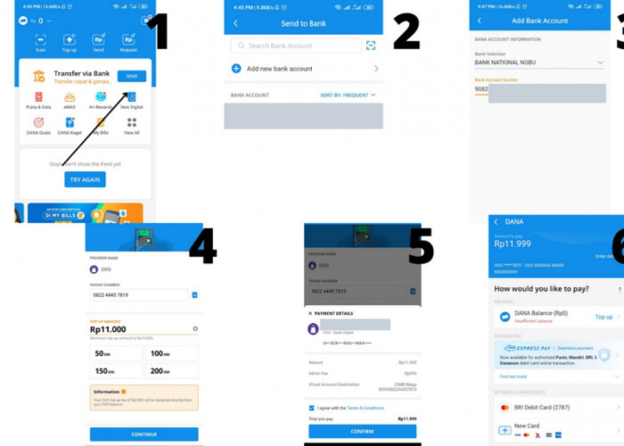Bingung Cara Top-up OVO Lewat DANA? Ikuti Panduan Ini!