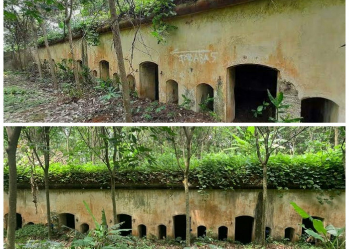 Menelusuri Sejarah Benteng Belanda Tangk: Jejak Kolonial di Ujung Timur Indonesia!