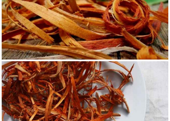 Manfaat Kayu Secang untuk Kesehatan: Rahasia Herbal dari Alam