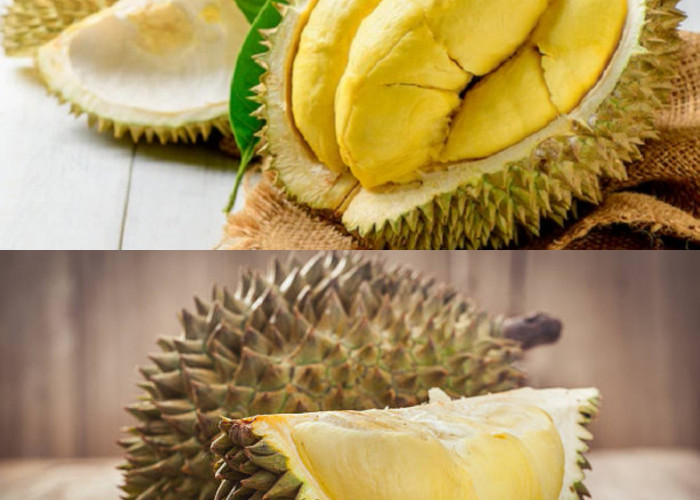 6 Kebaikan Durian untuk Kesehatan yang Tidak Boleh Dilewatkan!
