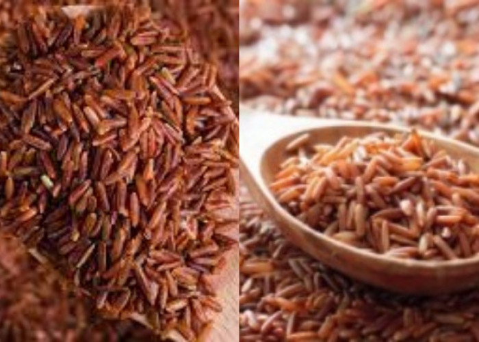 Penderita Diabetes Wajib Tahu! Ini Manfaat Luar Biasa Beras Merah bagi Tubuh