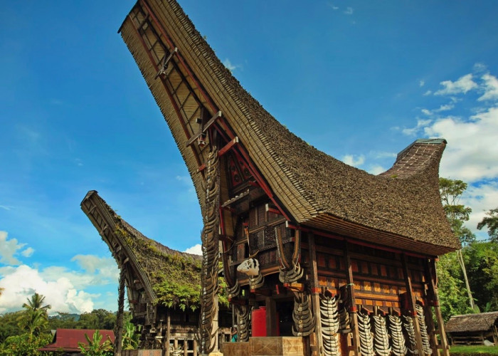 Mengapa Tongkonan Menjadi Simbol Kehidupan Suku Toraja? Temukan Jawabannya!