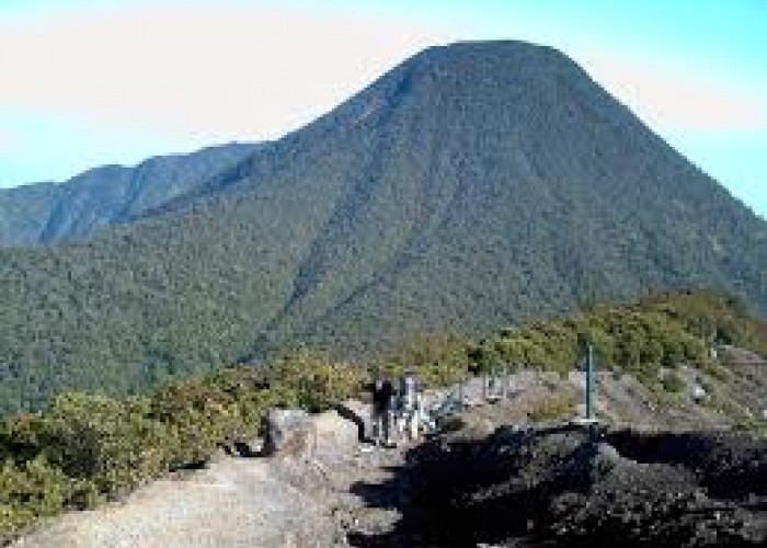 Menggali Mitos Mistis di Gunung Gede Pangrango, Kisah-Kisah yang Menghantui dan Menyeramkan