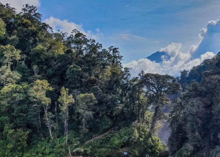 Baru Tau, Ada 7 Wisata Hits Di Tebo Jambi, Cek Lokasinya﻿