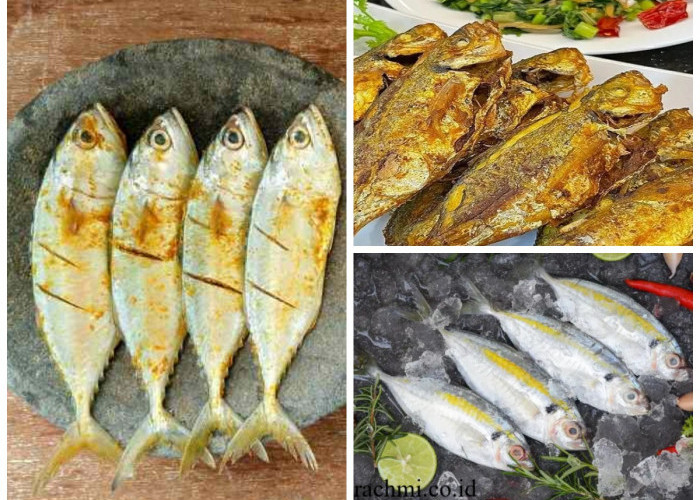 Manfaat Ikan Selar bagi Kesehatan Tubuh: Sumber Protein Murah Meriah yang Kaya Gizi!