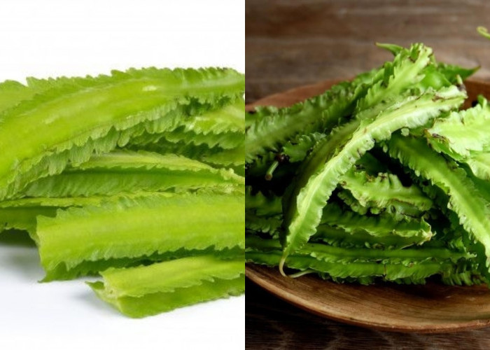 Simak! 8 Manfaat Kecipir Untuk Kesehatan Yang Perlu Kalian Ketahui