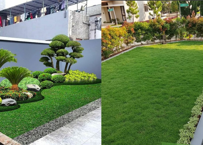 Rumput Taman Paling Populer untuk Halaman Rumah yang Indah dan Sejuk!