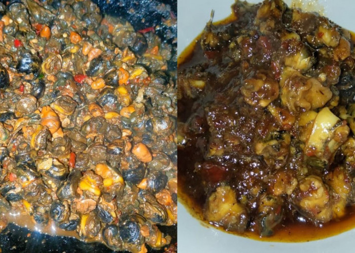 Mencicipi Resep Keong Sawah Pedas Manis, Dengan Kelezatan Yang Wow!