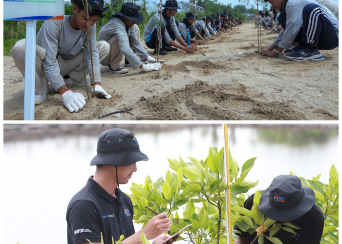 BRI Menanam – Grow & Green: Wujud Nyata Komitmen BRI di Hari Lingkungan Hidup Sedunia