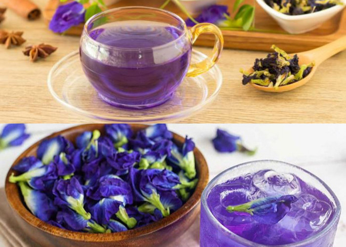 Teh Telang, Berikut 7 Keuntungannya bagi Kesehatan Tubuh!