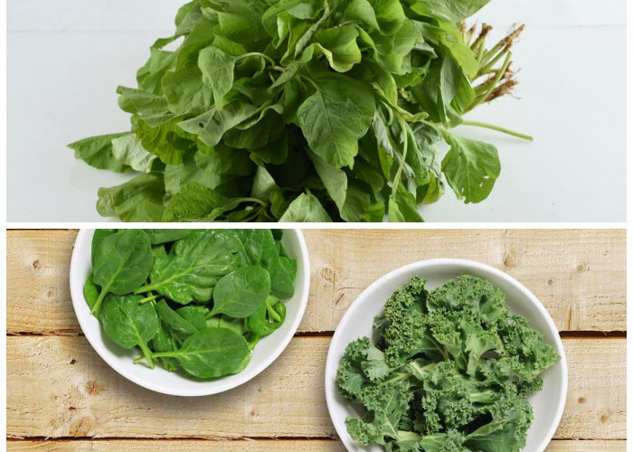 Kale vs Bayam: Sayuran Hijau Kaya Nutrisi untuk Menjaga Kesehatan Tulang