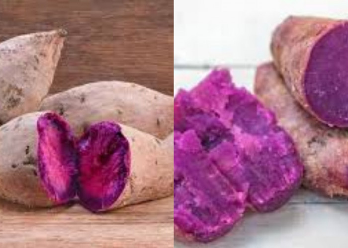 Inilah 8 Manfaat Ubi Ungu bagi Kesehatan dan Cara Mengolahnya!