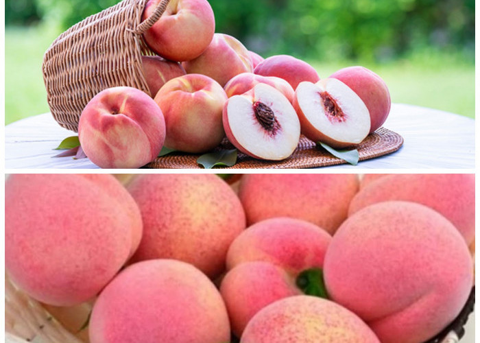 Manfaat Buah Persik untuk Tubuh dan Kulit: Nikmati Kesehatan Alami Setiap Hari