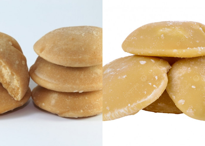 Yuk intip! Inilah Manfaat Gula Palem Untuk Kesehatan Tubuh Yang Luar Biasa