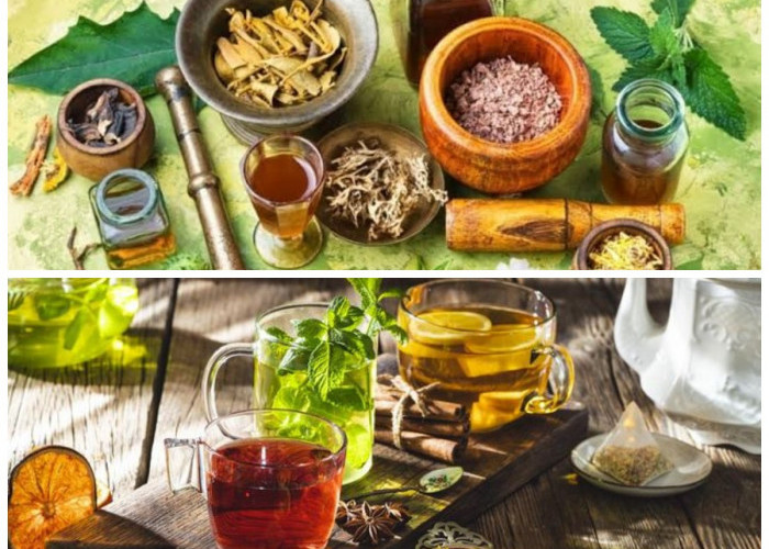 Obat Herbal Alami untuk Nyeri Lutut: Resep Daun yang Efektif