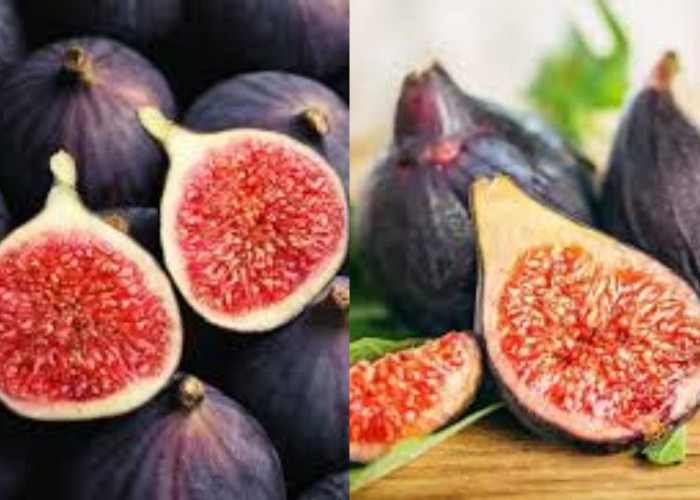  Inilah 7 Manfaat Buah Ara Yang Harus Kalian Ketahui!