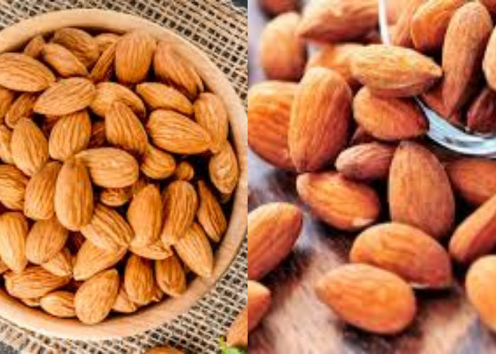 8 Manfaat Kacang Almond bagi Kesehatan Tubuh Ynag Harus Kalian Tahu!