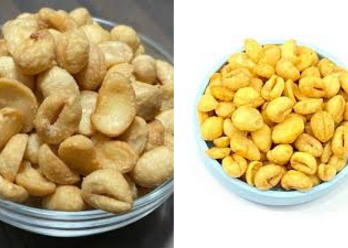 Manfaat Kacang Bogor Untuk Kesehatan Tubuh Simak Penjelasan Lengkap Disini!