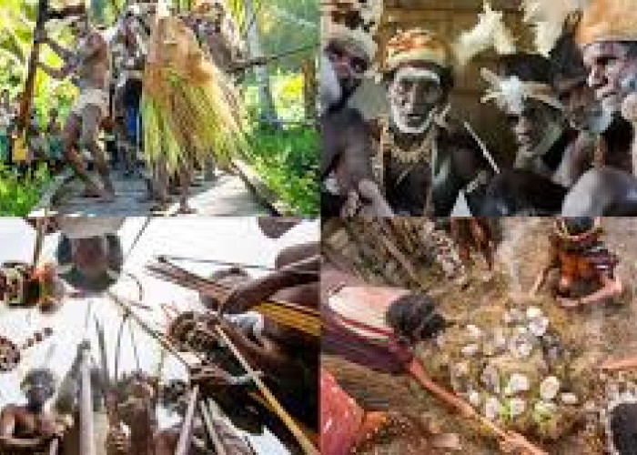 Suku Korowai, Kehidupan Semi-Nomaden dalam Rumah Pohon Papua