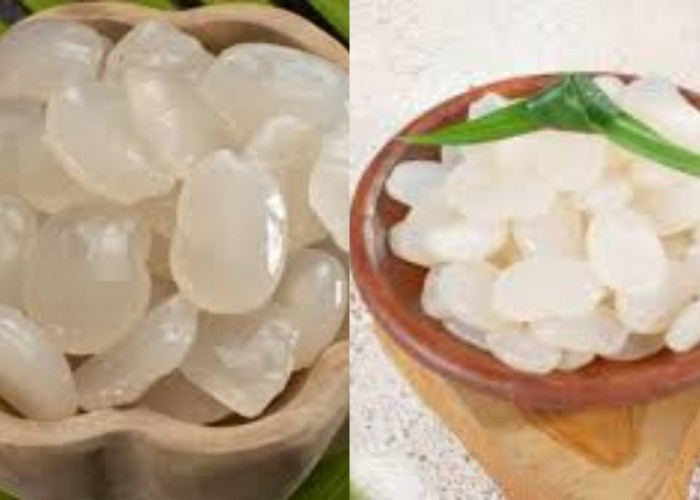 Perlu Kalian Ketahui Inilah Manfaat Kolang-Kaling Untuk Kesehatan Tubuh! 