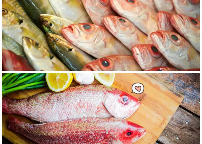 6 Ikan Tawar Sehat untuk Mengontrol Asam Urat Tanpa Risiko