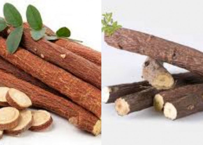 5 Manfaat Licorice, Salah Satunya untuk Mengatasi Asam Lambung Yang Jarang Diketahui!